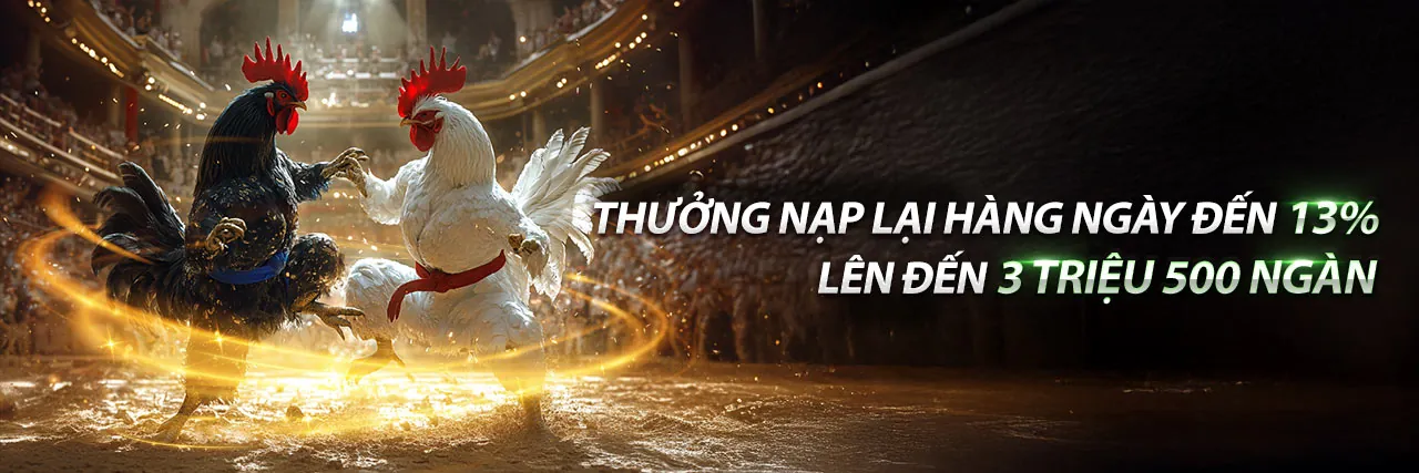Đội ngũ hỗ trợ khách hàng cn3789 chính thức sẵn sàng phục vụ